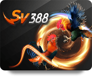 Get Ready for Excitement with BK8 Live Dealer Hot Sessions